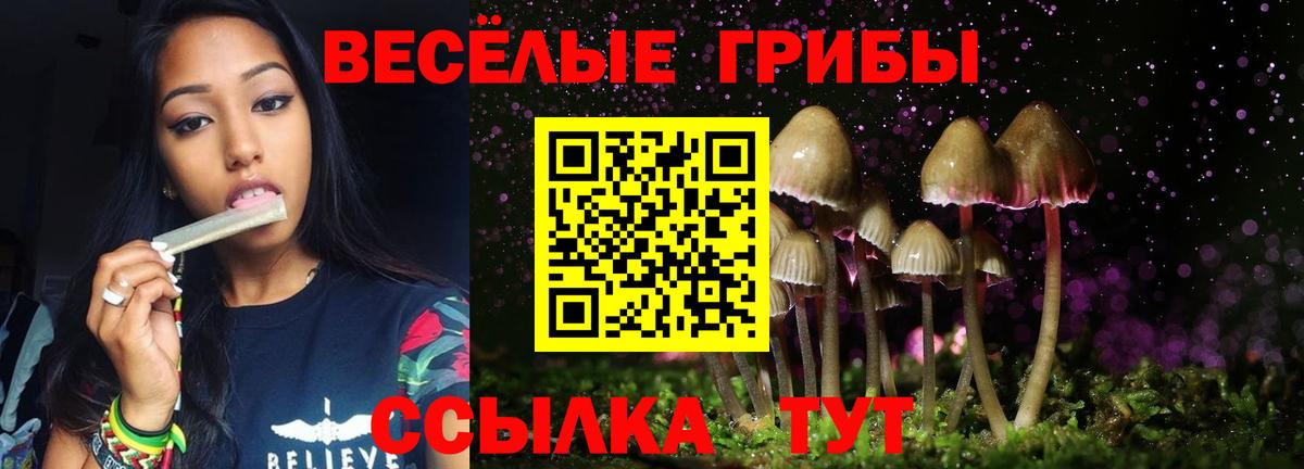 Железногорск  Псилоцибиновые грибы прущие грибы  Вход с VPN 